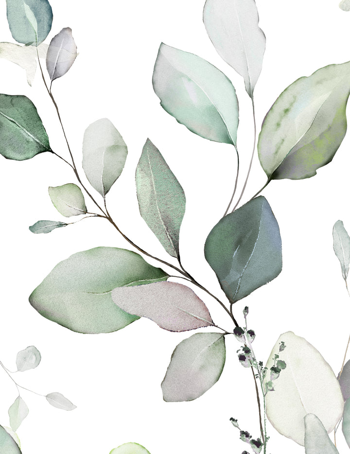 Jonah Wallpaper | Delicate Nature Eucalyptus Foliage